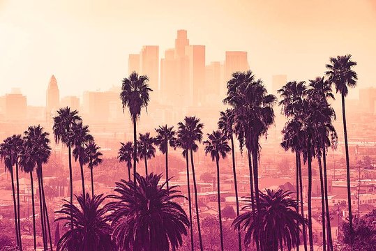 Tour image 13