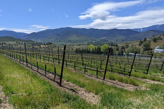 Tour image 5