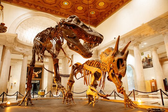 Tour image 3