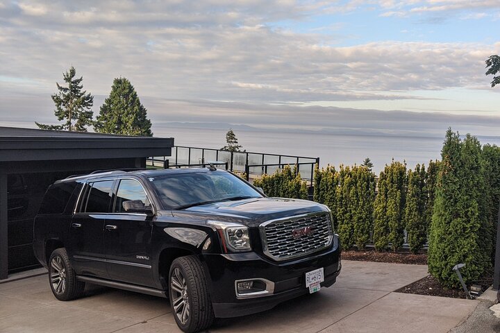 Los Angeles Airport to Anaheim Arrival Private Transfer